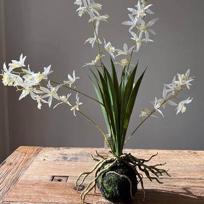 Orchidee Seiden-/Kunstpflanze cremeweiß | Mooie Tijd